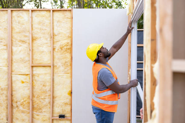 Best Professional Insulation Contractor  in Sardis City, AL